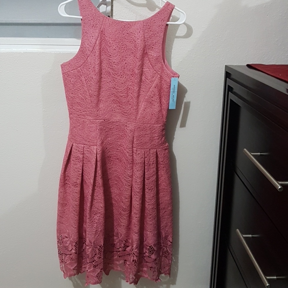 ~NWT~👡ANTONIO MELANI DRESS👡